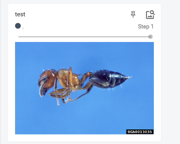 image-20220328154249877